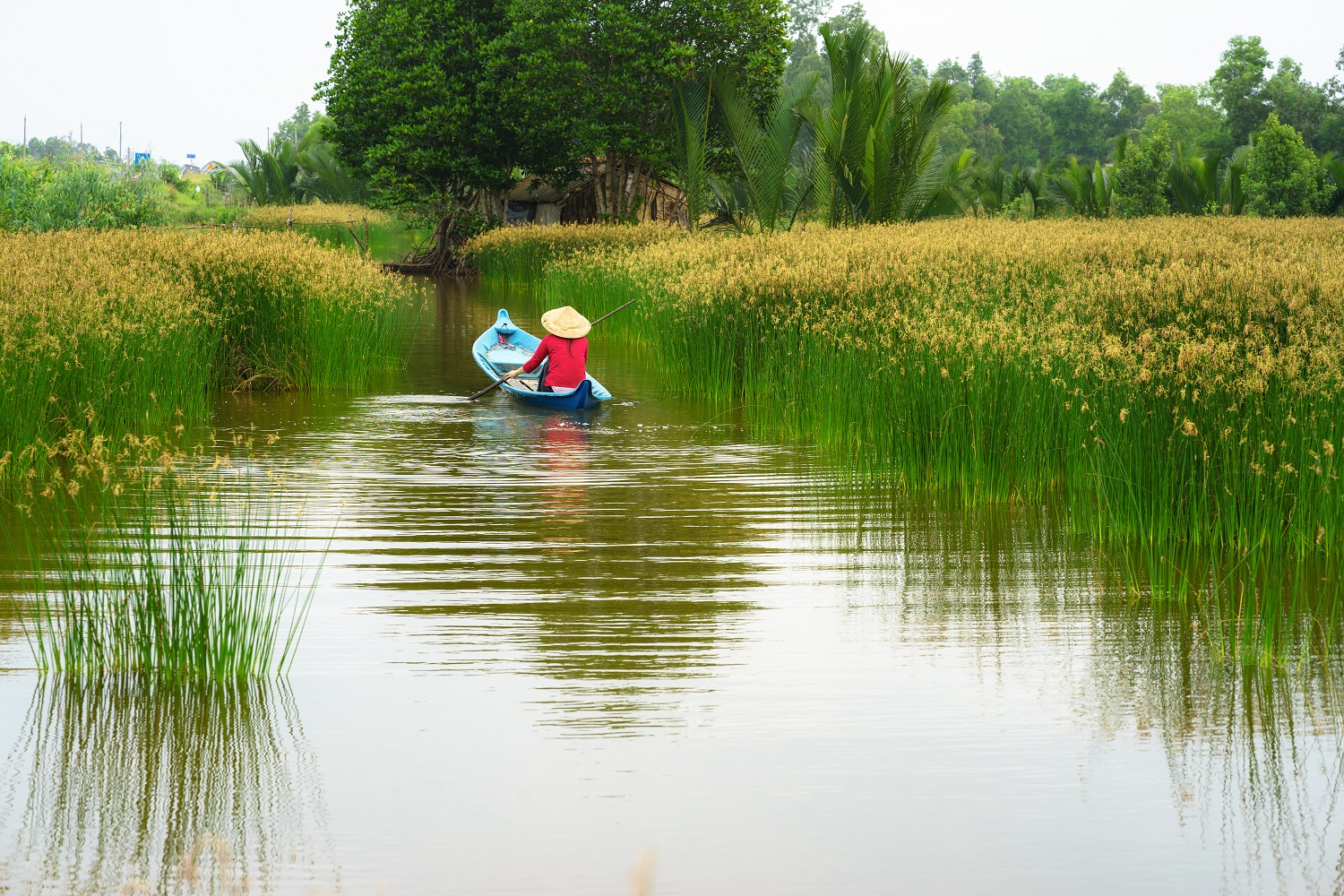 Advancing river health science and economics in the Ayeyarwady River, Myanmar