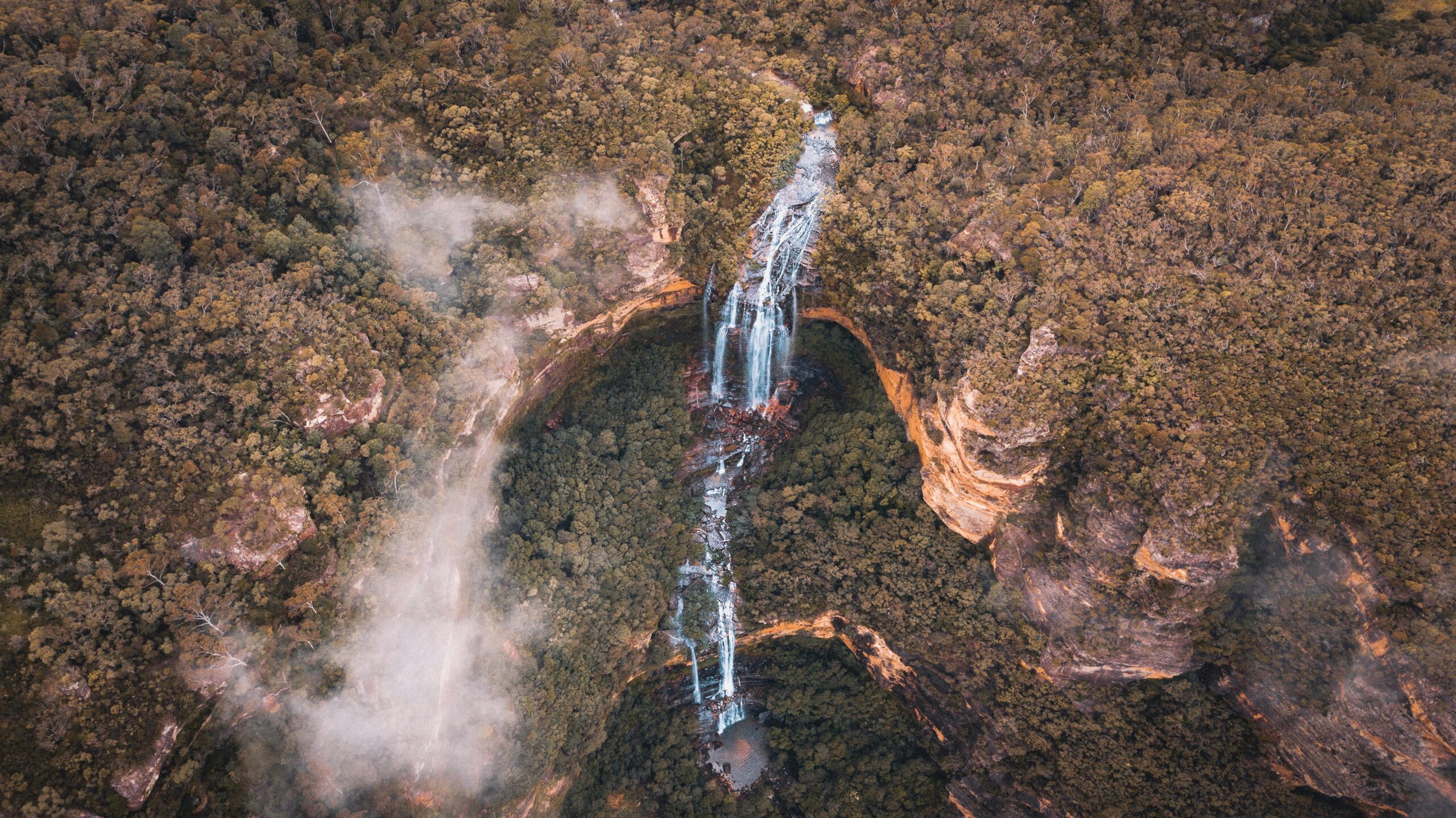 Community values for NSW State Forests