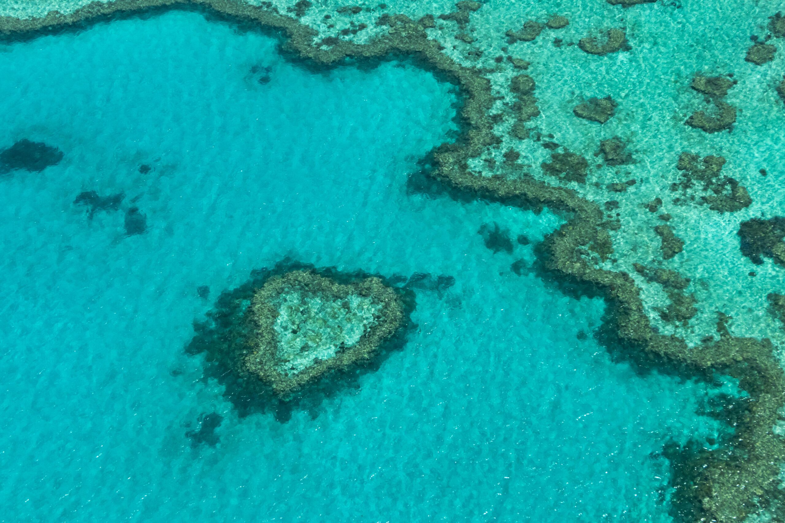 Management synthesis for reef programs