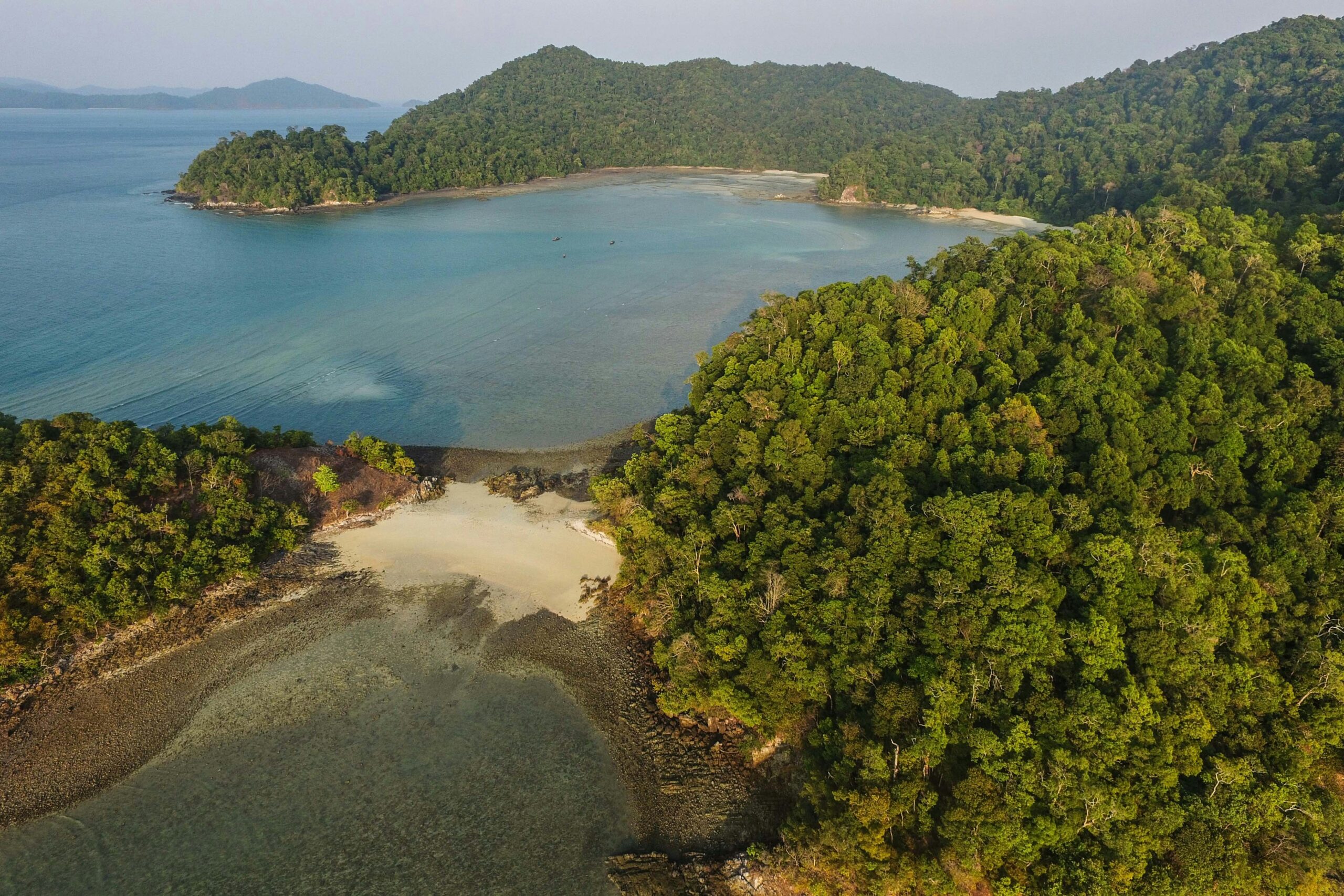 Carbon finance for Pacific forest restoration